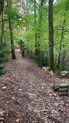 Mountain Biker Flies Off Ramp Into Faceplant