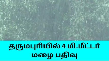 தருமபுாி: பரவலாக மழைப்பொழிவு- 4 மீட்டர் மழை பதிவு!