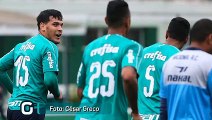 Palmeiras apresenta queda defensiva após Copa América