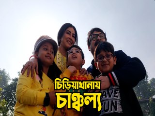 সাতসকালে শিম্পাঞ্জির খাঁচার সামনে ভিড় জমাল কারা?