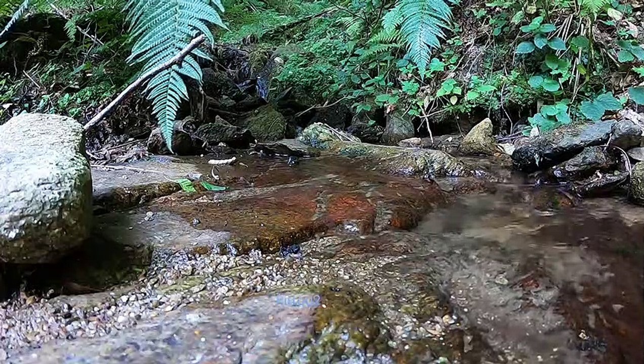 "Bien-être" écoulement - Relaxation - Détente