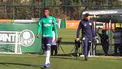 Palmeiras treina de olho no Bahia veja imagens