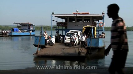 Taking Bikes and cars on Ferries across Mapusa River at Penha de France, Goa