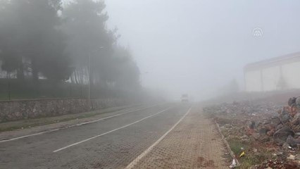 KAHRAMANMARAŞ - Yoğun sis etkili oluyor