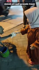 Animals are such agreeable friends ❤️