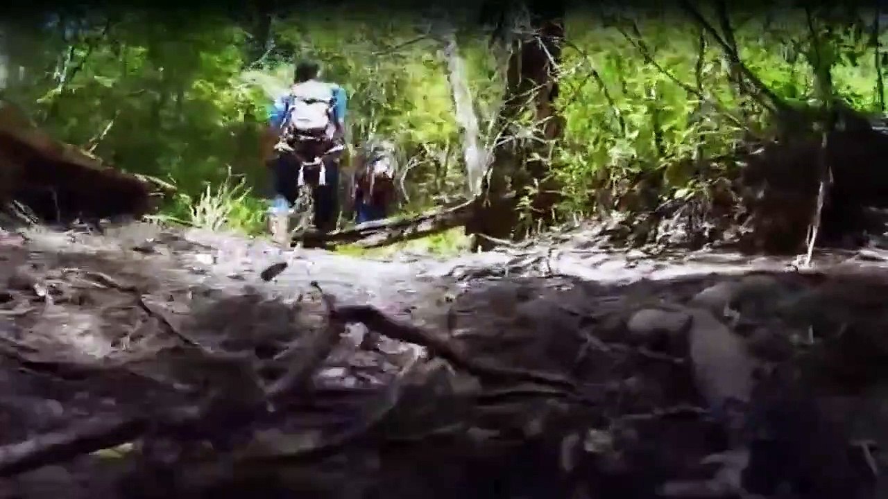 Venom Hunters - Die Giftjäger Staffel 1 Folge 2 HD Deutsch