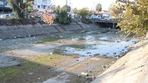 Adana’da suyu kesilen kanallar çöplüğe döndü