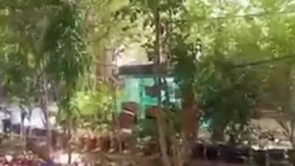 गुड़ामालानी: यहां रेतीले धोरों में खेती कर रही मालामाल!, देखिए विशेष रिपोर्ट