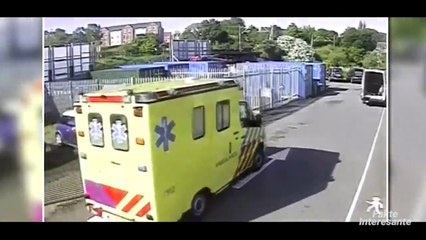 "Trafikantet me te Zgjuar ne Bote • Fakte Interesante"