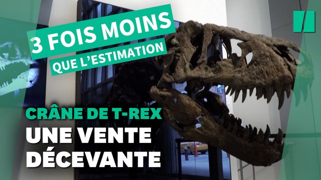 Ce crâne de T-Rex a été vendu aux enchères bien en dessous du montant estimé