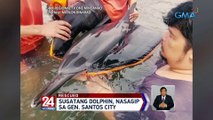 Sugatang dolphin, nasagip sa Gen. Santos City | 24 Oras Weekend