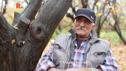 Dağ keçileri belgesel oldu