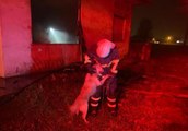 Yangından kurtarılan köpek itfaiye personelinin üzerine atlayarak sevgi gösterisinde bulundu