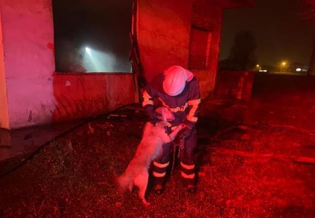 Yangından kurtarılan köpek itfaiye personelinin üzerine atlayarak sevgi gösterisinde bulundu