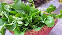 सरसों के साग के जबरदस्त फायदे Health Benefits of Mustard Greens Sarso ka saag Recipes
