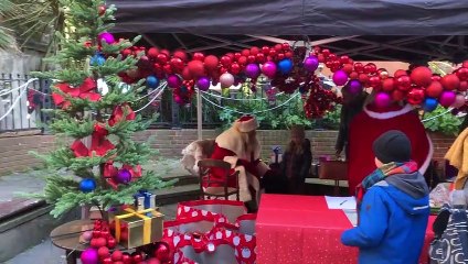 Hastings Old Town Christmas 2022 event on December 10