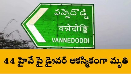 అనంతపురం: రక్తం కక్కుతూ లారీ డ్రైవర్ అక్కడికక్కడే మృతి