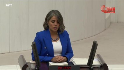 Ayşe Acar Başaran: "Hiranur Vakfı'nda Yaşananlar, İktidarın Bu Vakıflara Bahşettiği Güçle İlgili"