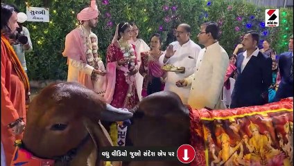 સુરતમાં અનોખા લગ્ન યોજાયા: પિતાએ દીકરીને ગીર ગાય દાનમાં આપી