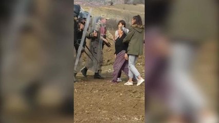 Çambükü Köyü'nde Osb'ye Karşı Direniş Devam Ediyor. Köylü Kadınlar, Kesilen 40 Yıllık Ceviz Ağaçlarının Yerine Fidan Dikerek Osb'yi Protesto Etti