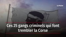 Ces 25 gangs criminels qui font trembler la Corse