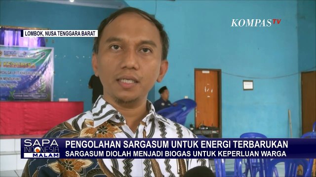 Sargasum Bisa Diolah jadi Biogas, Pertamina Siap Dukung Inovasi Ciptakan Energi Terbarukan!