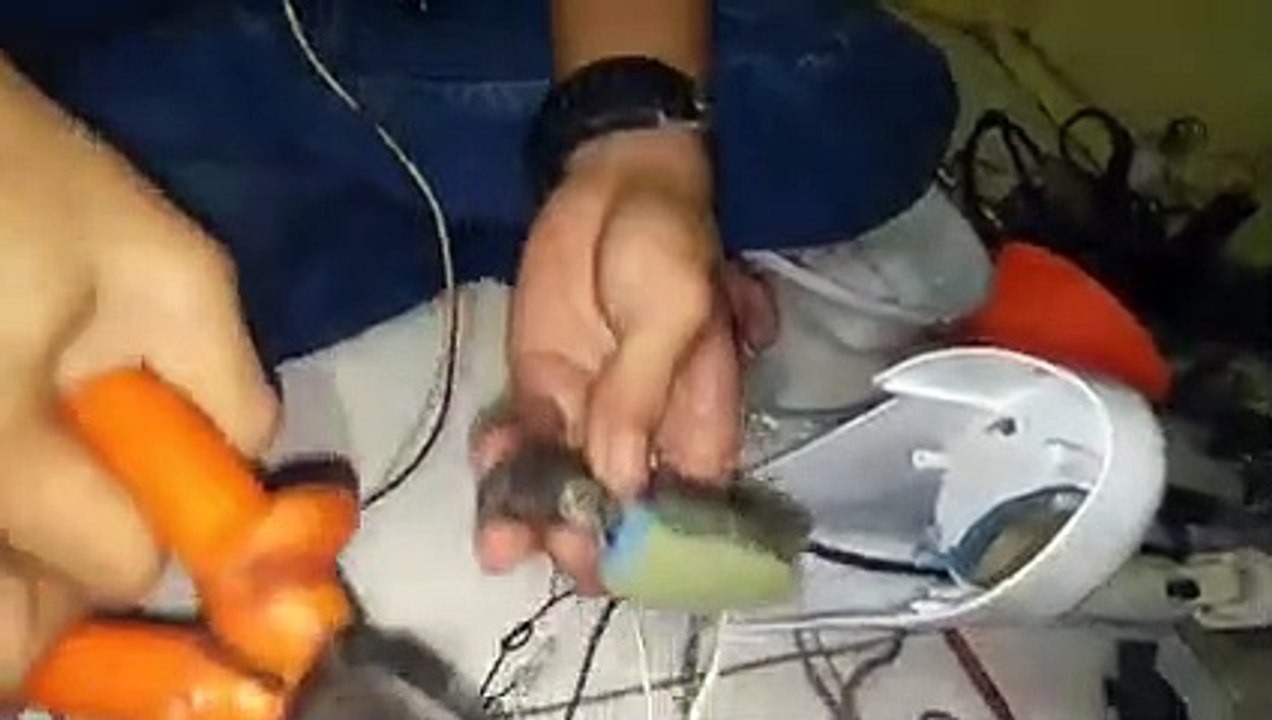 atasi tombol kipas angin konslet