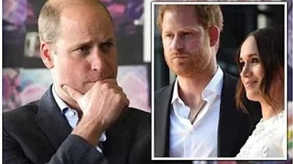 Le prince Harry `` met du sel dans la plaie '' alors que le prince William surnomme la `` véritable