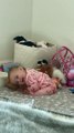 Baby Camila Gets Shy Cuddling Her Toy Bear