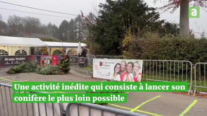 Lancer de sapin Hannut