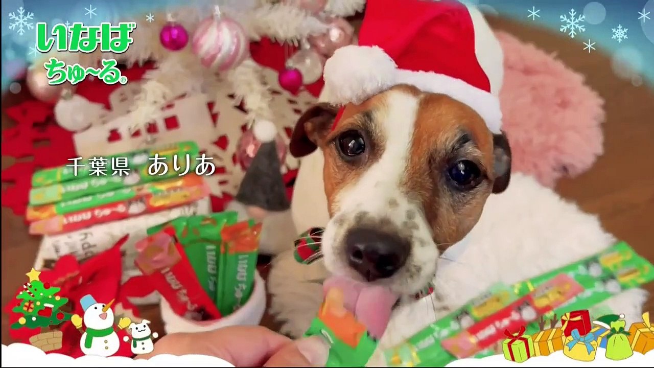 執事 西園寺の名推理　第1話