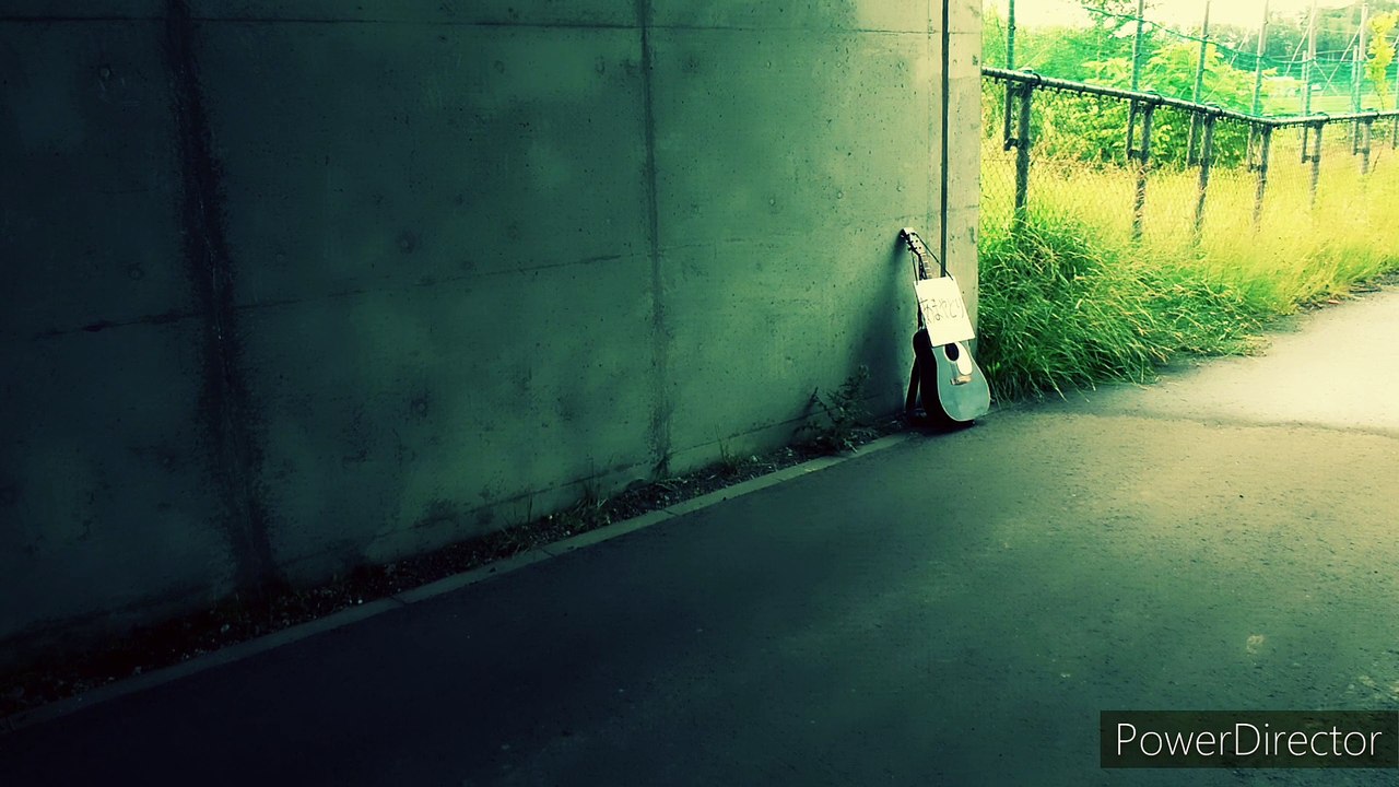 あまやどり