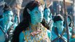 Personal Connection to James Cameron's Avatar: The Way of Water