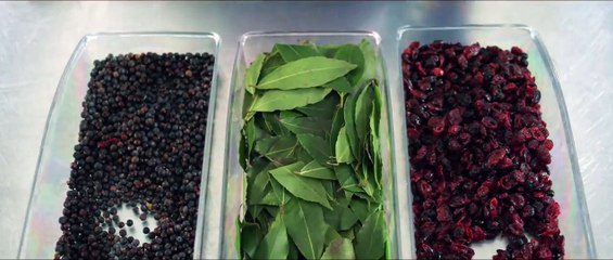 Souvenir Bande-annonce (DE)