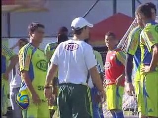 Palmeiras aproveita terça tranqüila para treinar