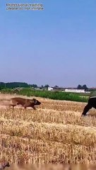 14 августа 2022 г. (2)