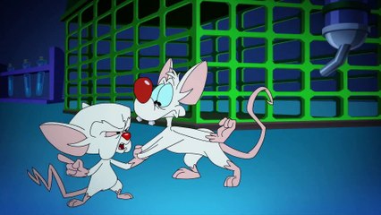 The Animaniacs S03