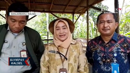 Jelang Nataru, Dinas Perkebunan dan Peternakan Kalsel Pastikan Stok Daging Sapi Aman
