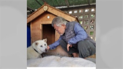 문재인 "반려견 마루 세상 떠나...남북합작 만든 견생" / YTN