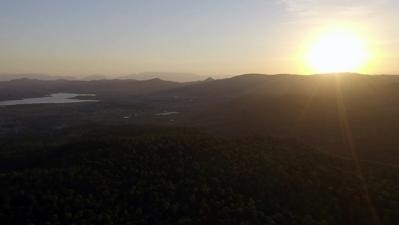 Melihat - matahari - terbenam - ditengah - hutan -mixkit-aerial-shot-of-a-large-forest-covering-the-landscape-at-39722-medium