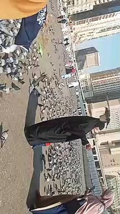 Mecca live Makka Madina