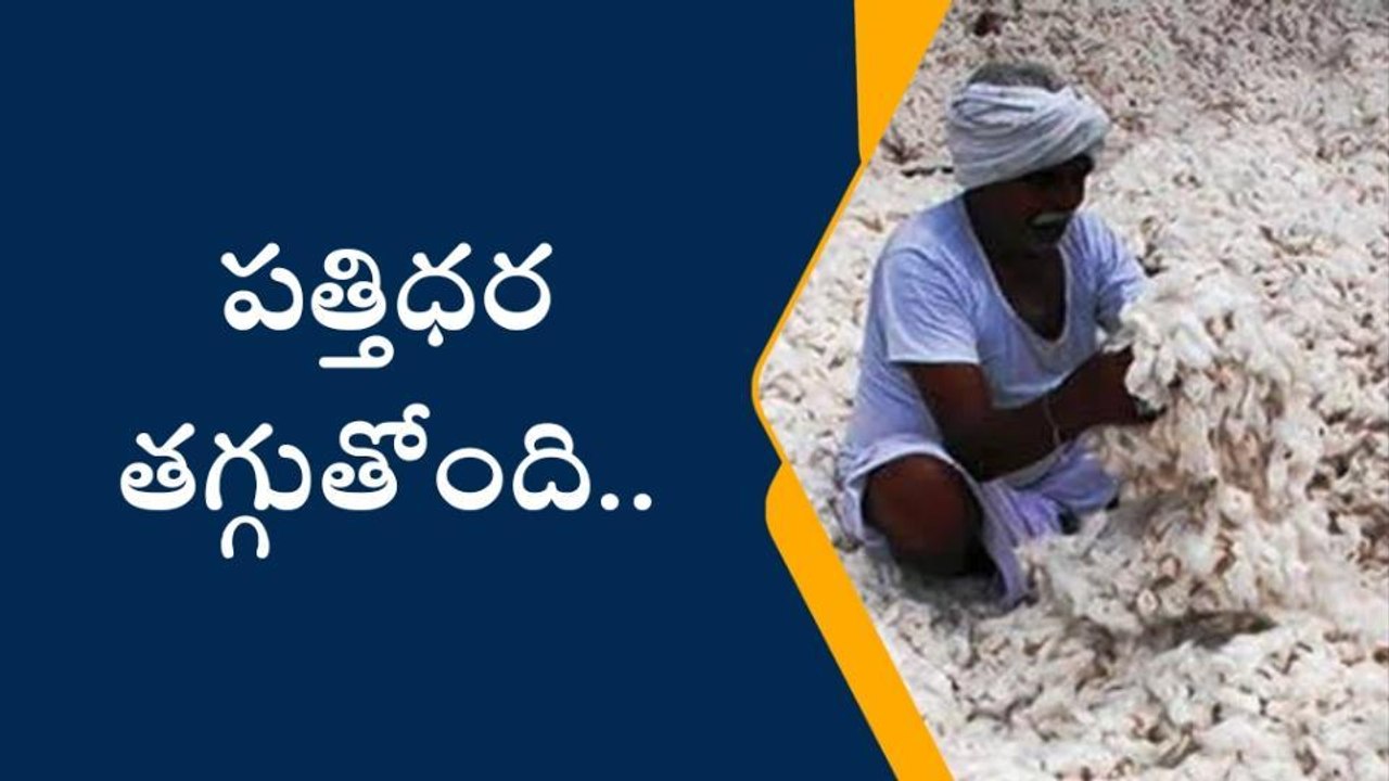 బోథ్: తగ్గుతున్న పత్తి ధర.. ఆందోళనలో రైతన్నలు