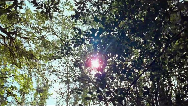 Mademoiselle Julie Bande-annonce (DE)