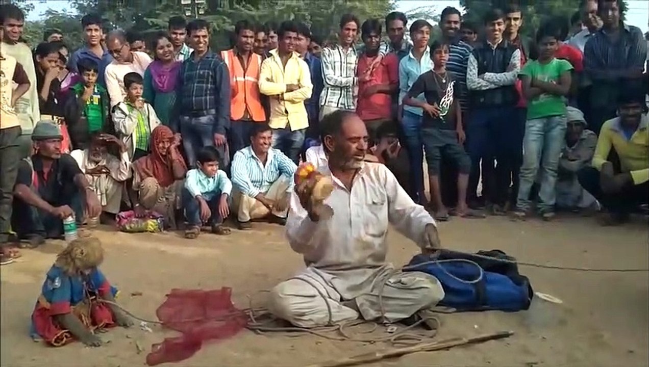 Bandar Bandariya Ka Khel | क्या कमाल का बंदर है | Funny Video