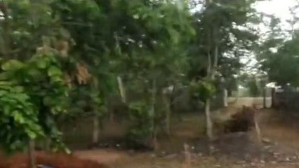 కామారెడ్డి: బీ అలర్ట్.. జిల్లావ్యాప్తంగా తేలికపాటి వర్షాలు