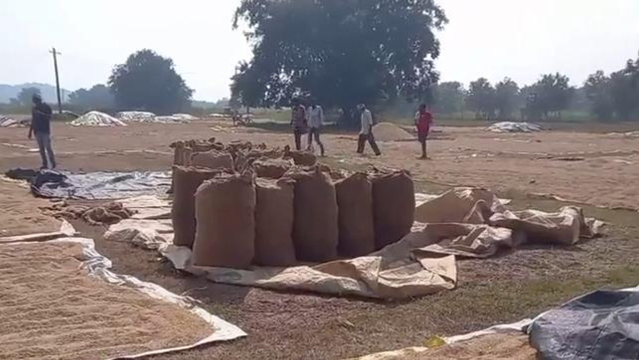వరంగల్ ఈస్ట్: ఆకాశంలో మబ్బులు.. రైతుల గుండెల్లో గుబులు..!
