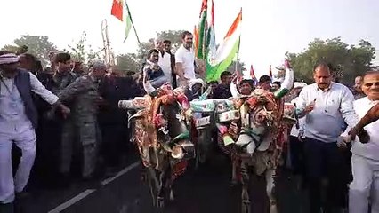 भारत जोड़ो यात्रा में राहुल गांधी ने हांकी बैलगाड़ी