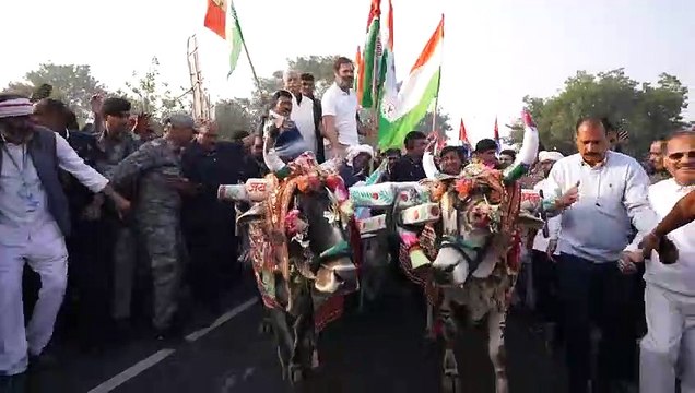भारत जोड़ो यात्रा के दौरान जब राहुल गांधी ने चलाई बैलगाड़ी, देखें वीडियो