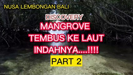 NUSA LEMBONGAN PART 2 ,DISCOVERY MANGROVE NUSA LEMBONGAN BALI INDONESIA 4K