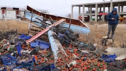 SEBZE YÜKLÜ TIR DEVRİLDİ: 1 YARALI